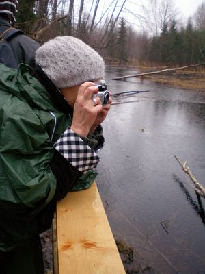 Klikka vaatamaks tissuuruses pilti