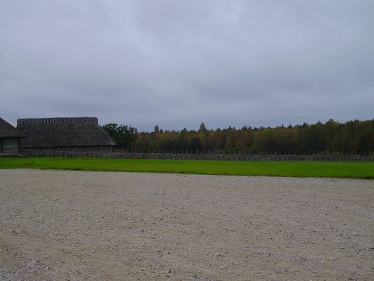 Klikka vaatamaks tissuuruses pilti