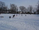 DSC01764.JPG