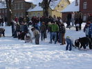 DSC01769.JPG