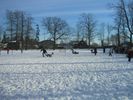 Failinimi : ops 012.jpg
Failisuurus : 402KB
Mõõtmed : 1024x768
Lisamise kuupäev : Neljapäev 10 Veebruar 2005 ops 012.jpg