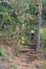 Failinimi : sini 092.jpg
Failisuurus : 2720KB
Mõõtmed : 1664x2496
Lisamise kuupäev : Reede 26 Oktoober 2007 sini 092.jpg