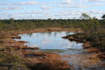 Failinimi : pilt 124.jpg
Failisuurus : 2459KB
Mõõtmed : 2496x1664
Lisamise kuupäev : Reede 26 Oktoober 2007 pilt 124.jpg
